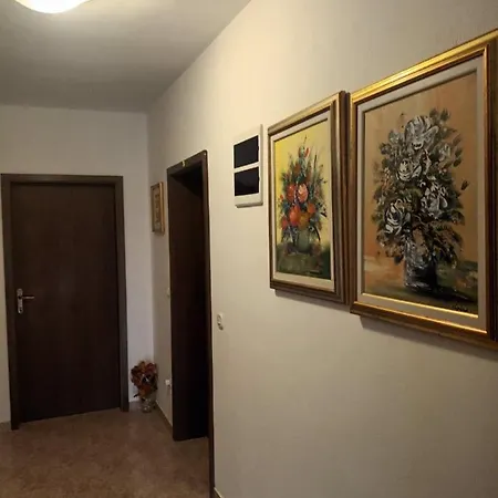 Apartment Mirna Vantacici